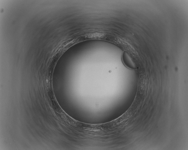 X0000083660743200703051751