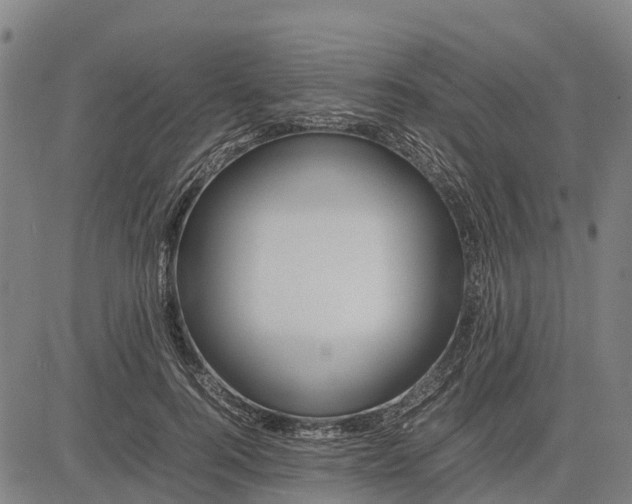 X0000083660744200703051751