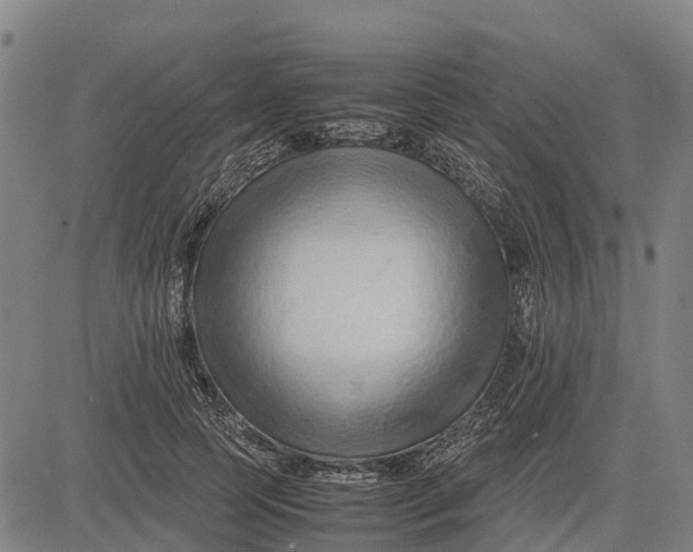 X0000083660745200703051751