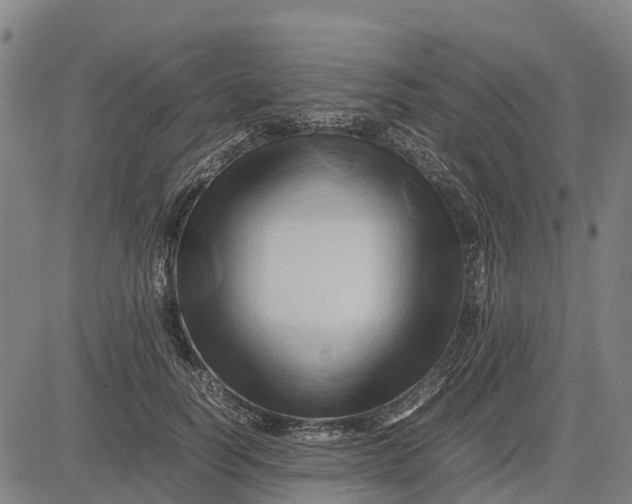 X0000083660746200703051751