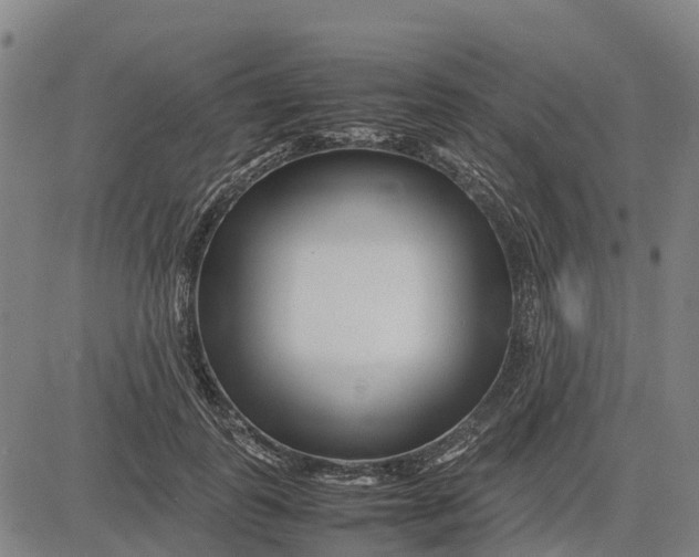 X0000083660747200703051751