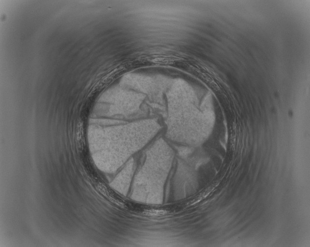 X0000083660748200703051751