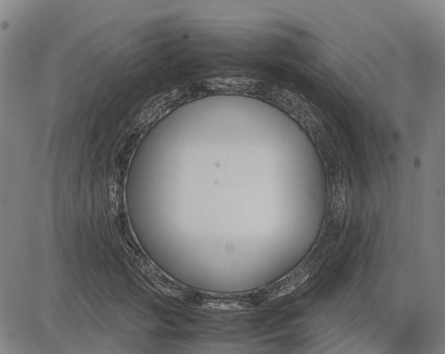 X0000083660749200703051751