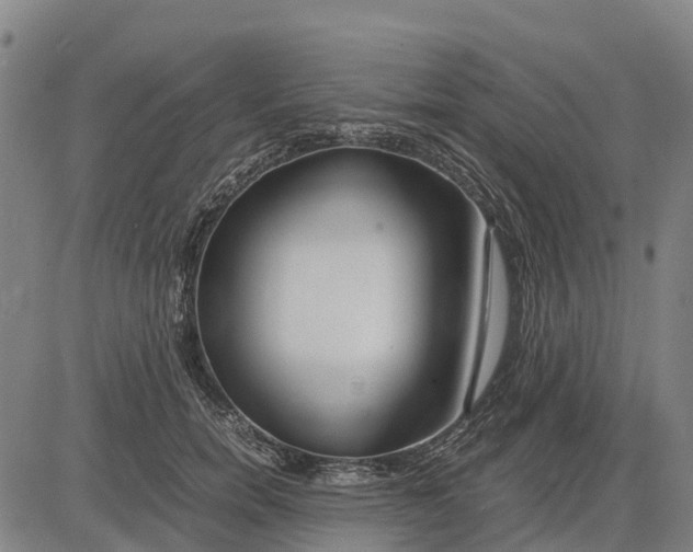 X0000083660750200703051751