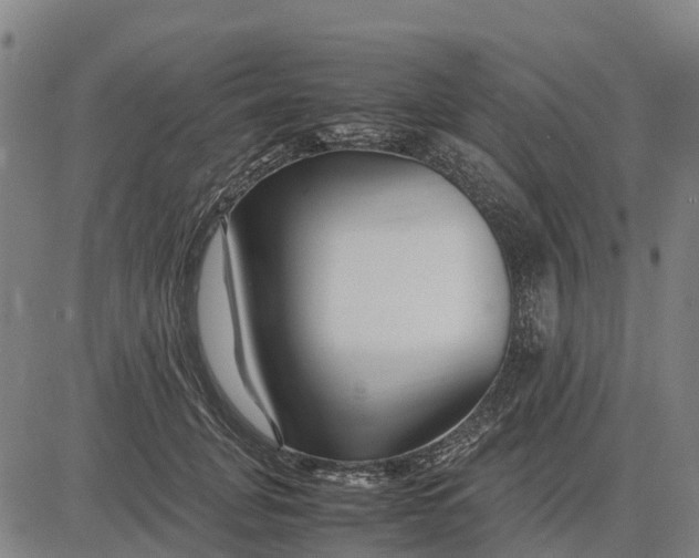 X0000083660751200703051751