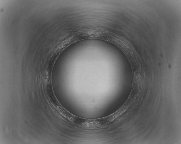 X0000083660752200703051751