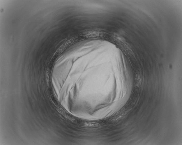 X0000083660753200703051751