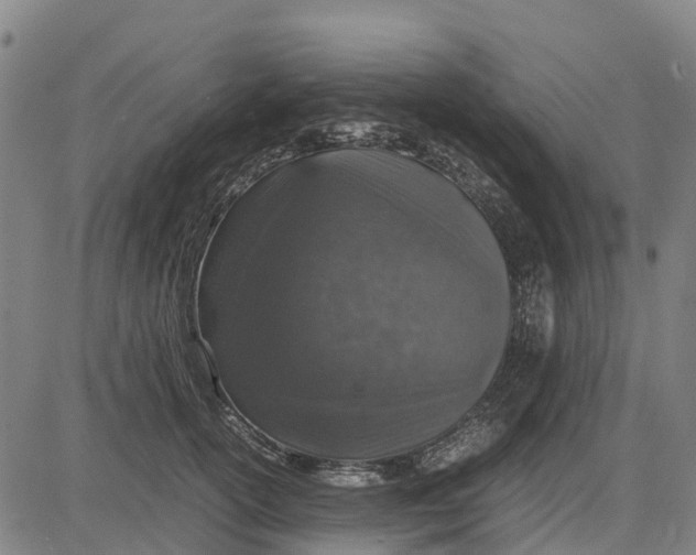 X0000083660754200703051751