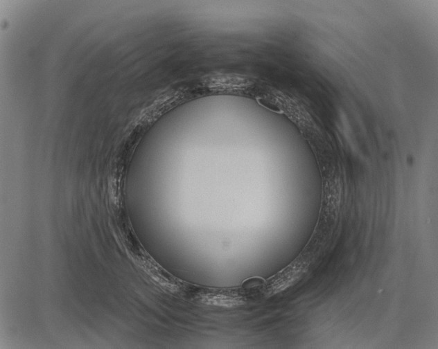 X0000083660755200703051751