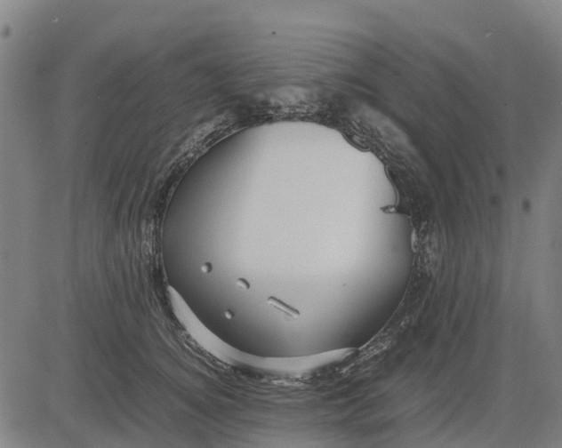 X0000083660756200703051751