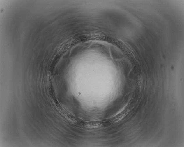 X0000083660757200703051751