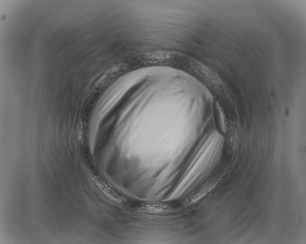 X0000083660758200703051751