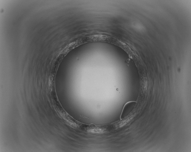 X0000083660759200703051751