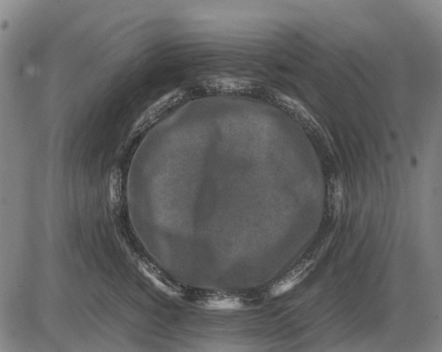 X0000083660760200703051751