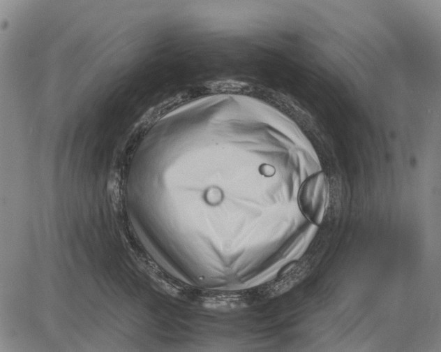 X0000083660761200703051751