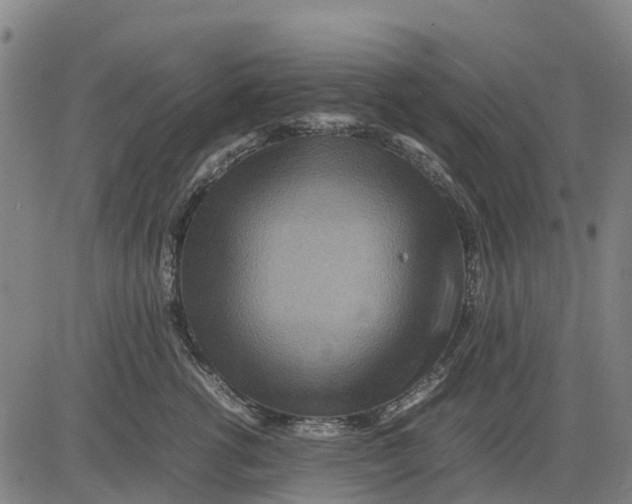 X0000083660762200703051752