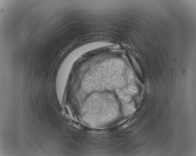 X0000083660763200703051752