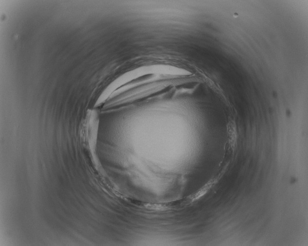 X0000083660766200703051752