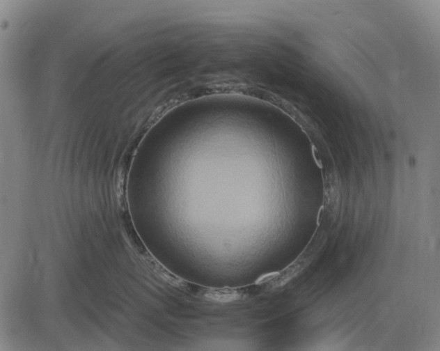 X0000083660767200703051752