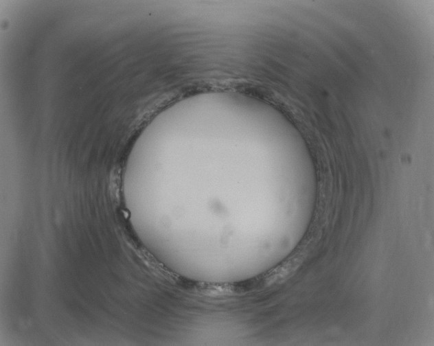 X0000083660768200703051752