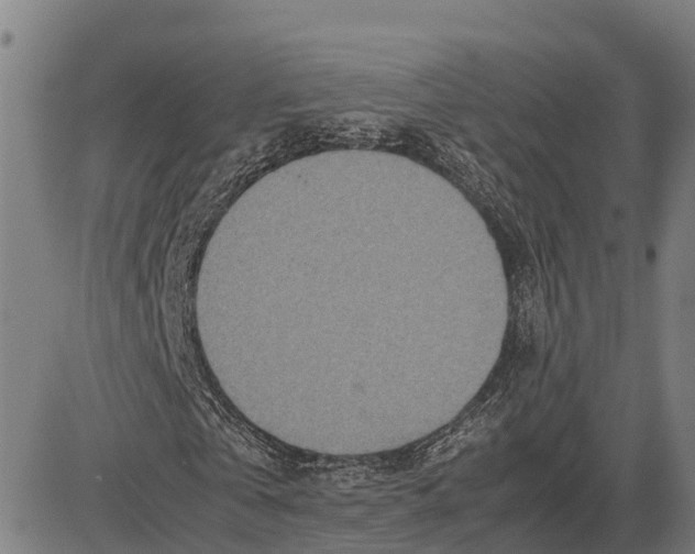 X0000083660769200703051751