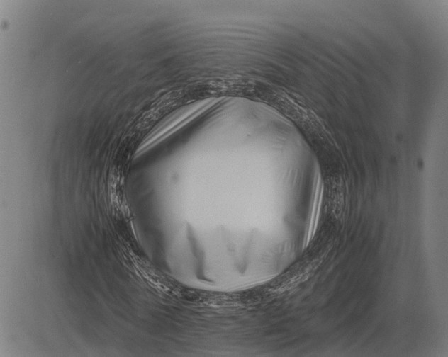 X0000083660770200703051751