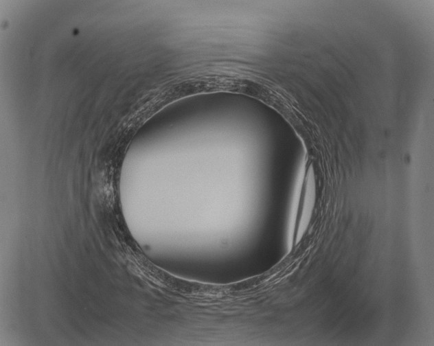 X0000083660771200703051751