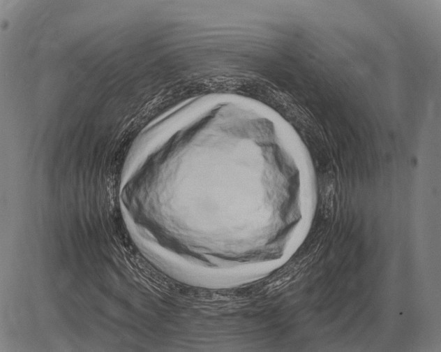 X0000083660772200703051751