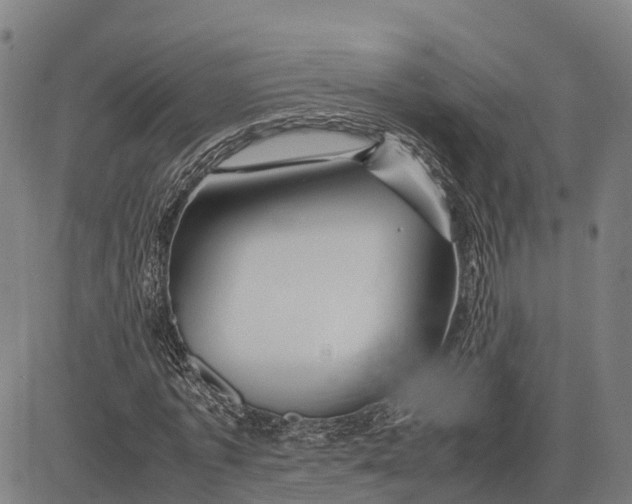 X0000083660773200703051751