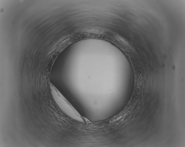 X0000083660774200703051751