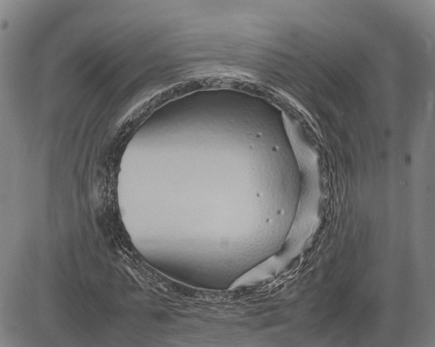 X0000083660775200703051751