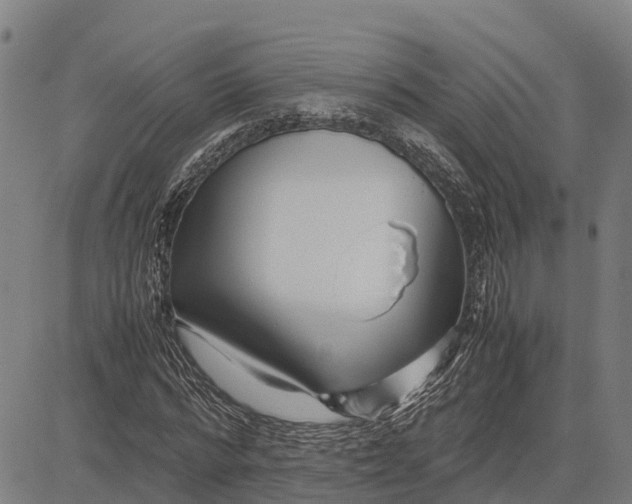 X0000083660776200703051751