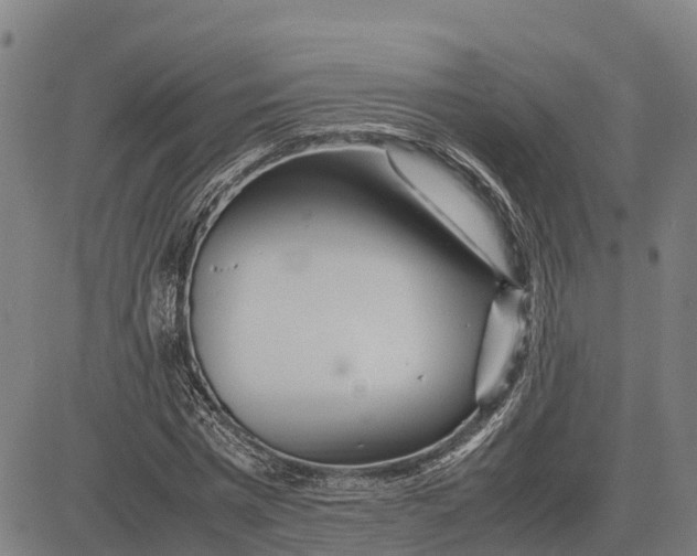 X0000083660777200703051751