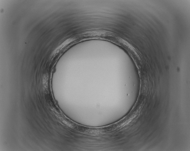 X0000083660778200703051751