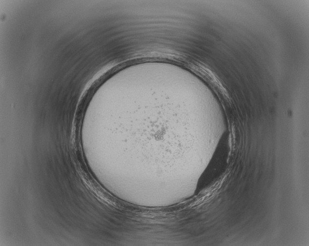 X0000083660780200703051751