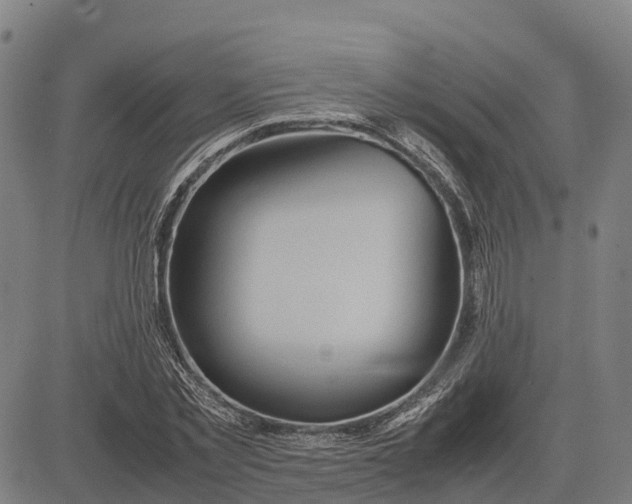 X0000083660781200703051751