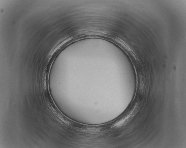 X0000083660782200703051751