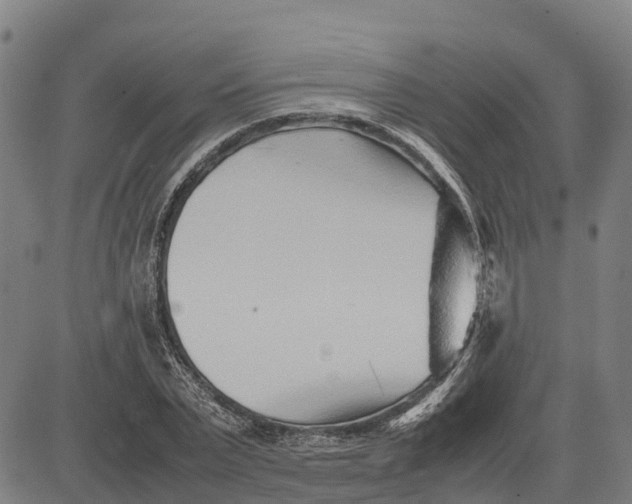 X0000083660783200703051751