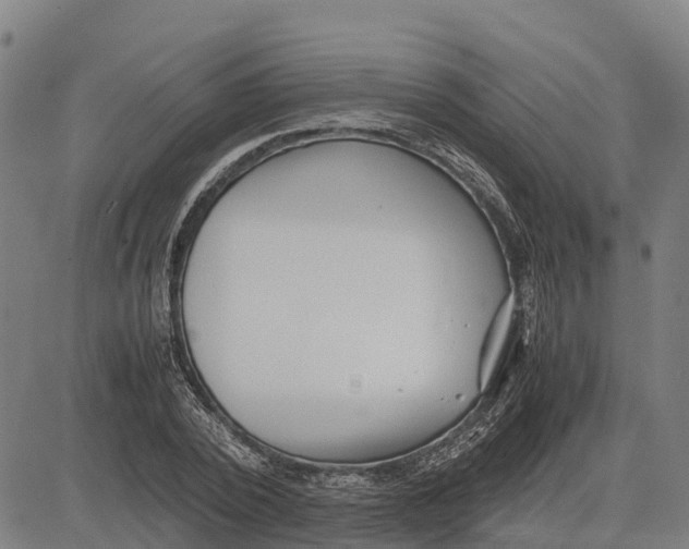 X0000083660784200703051751