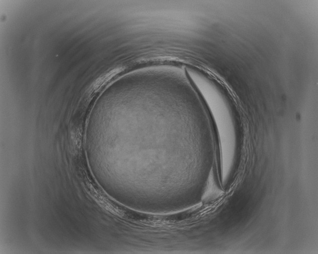 X0000083660785200703051751