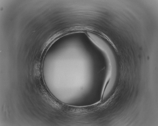 X0000083660786200703051751