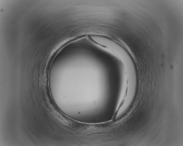 X0000083660787200703051751