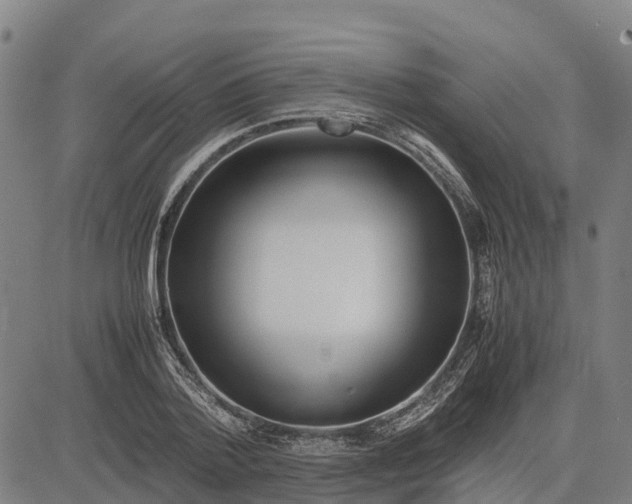 X0000083660788200703051750