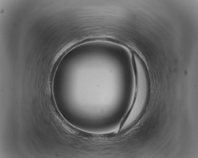 X0000083660789200703051750