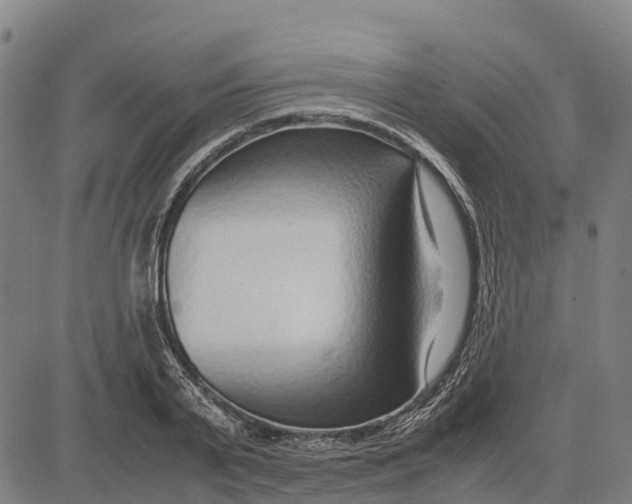 X0000083660791200703051750