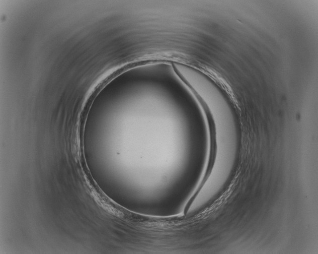 X0000083660792200703051750