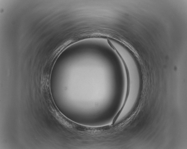 X0000083660793200703051750