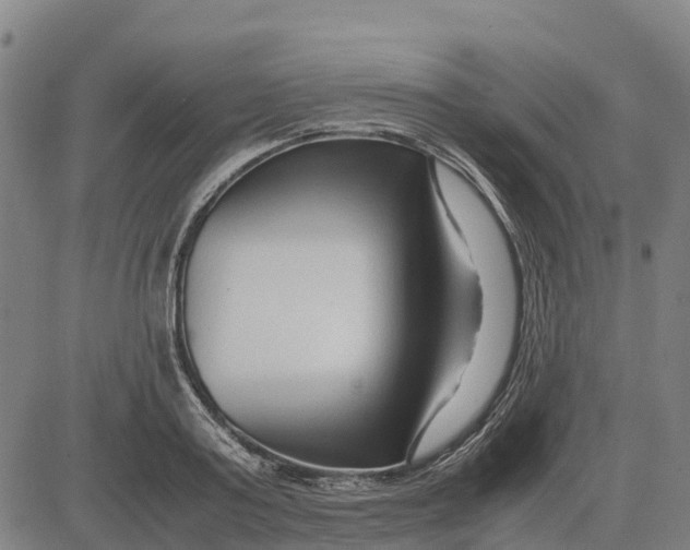 X0000083660795200703051750