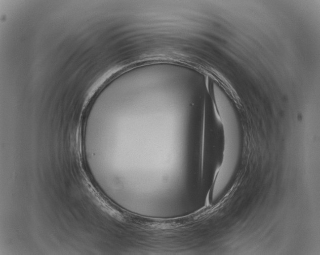 X0000083660796200703051750