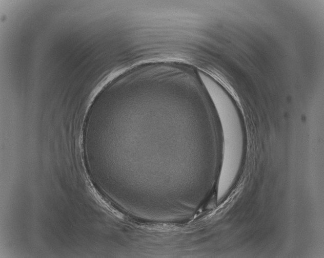 X0000083660797200703051750